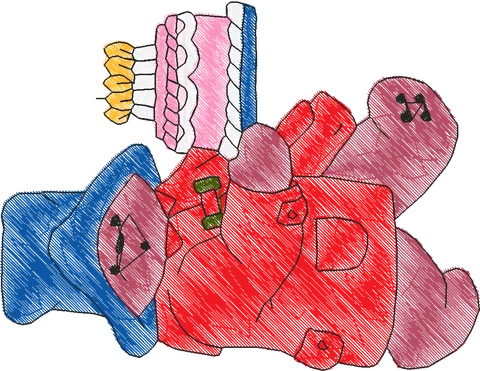 Paddington Bear3 (11)